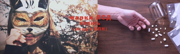 apvp Козельск