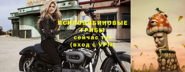 apvp Козельск