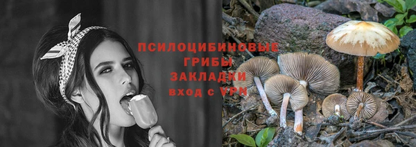 метадон Козловка