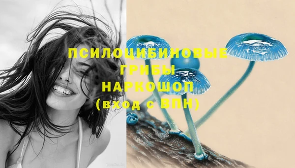 метадон Козловка